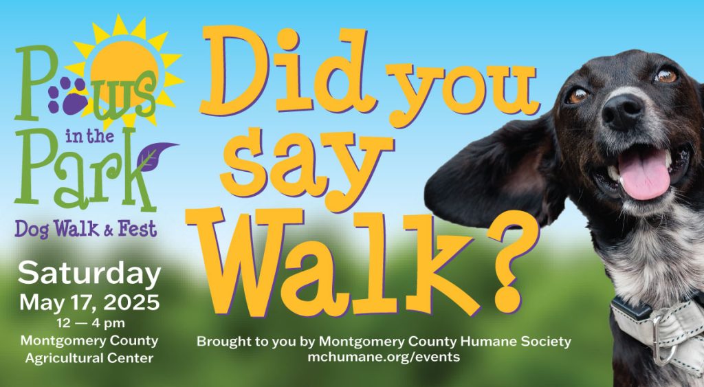 May 17: Paws in the Park