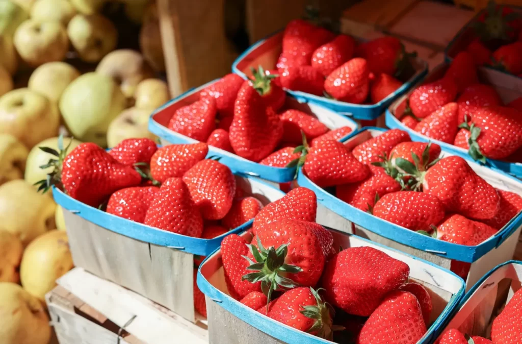 Every Saturday: Downtown Silver Spring Farmers Market